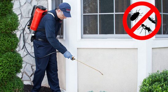 Narlıdere Böcek İlaçlama böcek ilaçlama ve haşere kontrolü — ilaclama-tr.com
